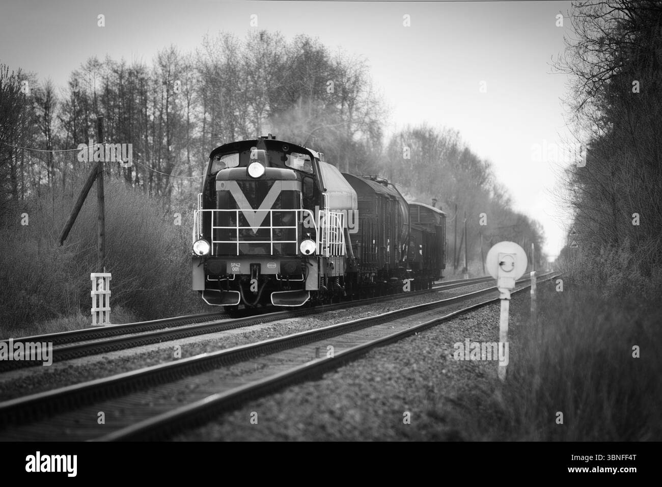 Locomotiva diesel polacca nostalgica con treno merci retrò Foto Stock