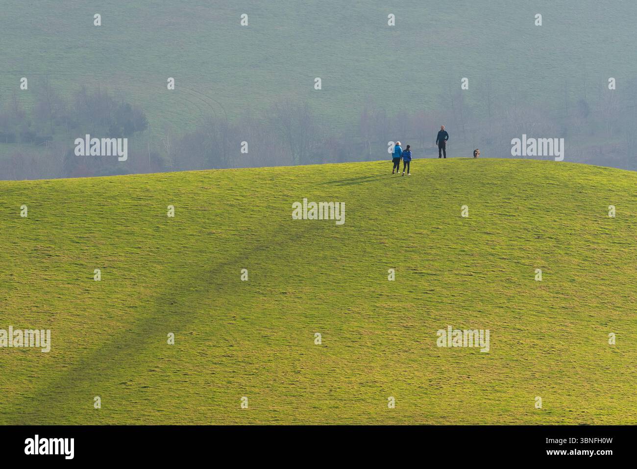Tre camminatori in cima al punto più alto di Snapes Point con il loro cane, un pascolo verde, adagiato su un fondo di campi con una messa a fuoco morbida. Foto Stock