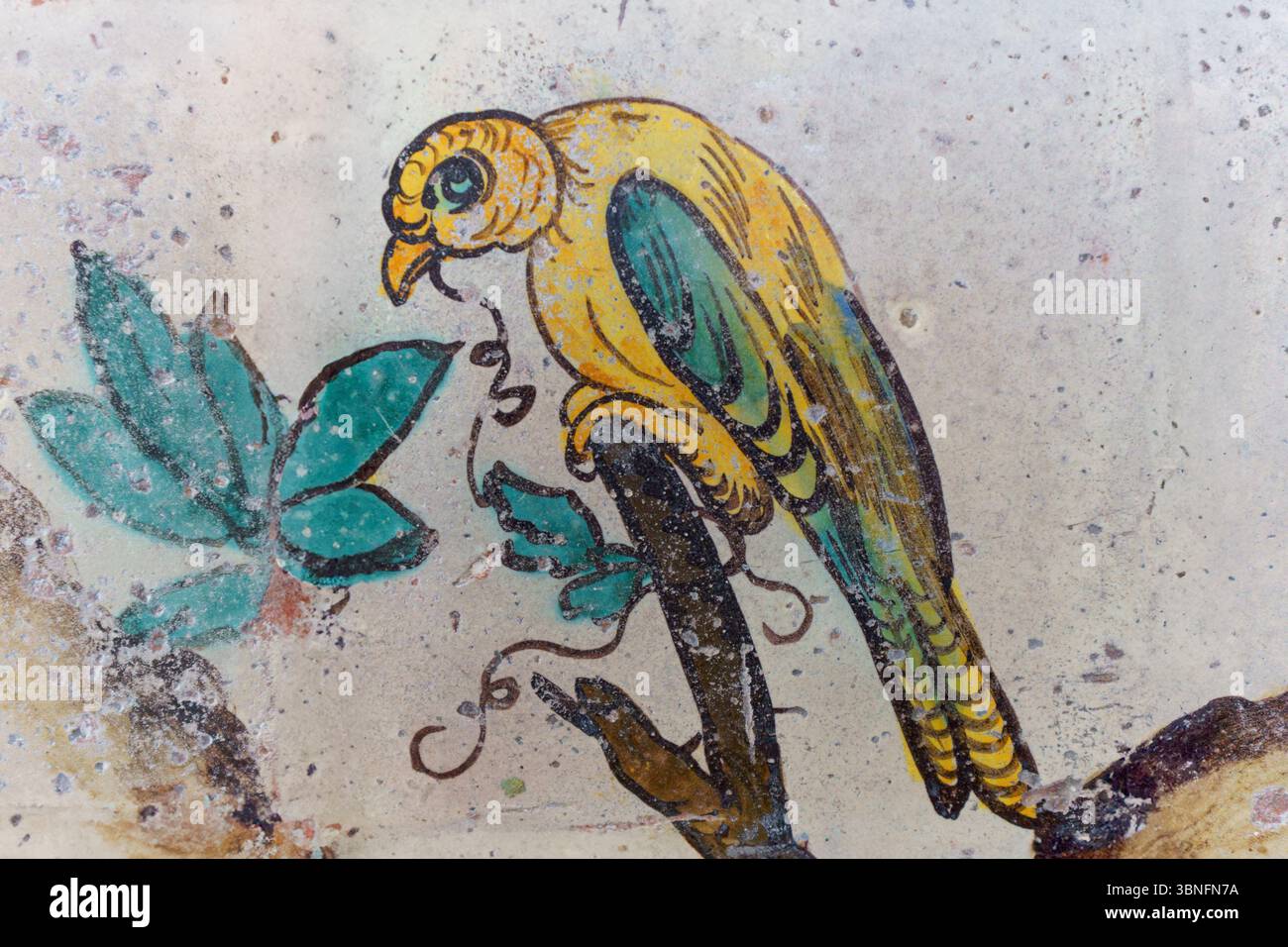 Un affresco dettagliato di un pappagallo giallo e verde arroccato su un ramo all'interno della Chiesa del Gesu a Palermo, in Sicilia. L'uccello è dipinto Foto Stock