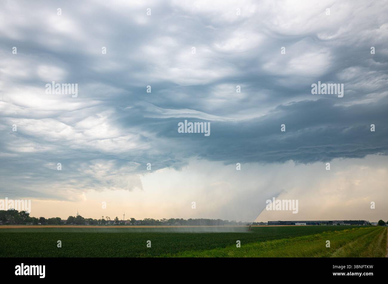 Cielo caotico di tempesta con nuvole altocumulus asperitas come precursore di temporali Foto Stock