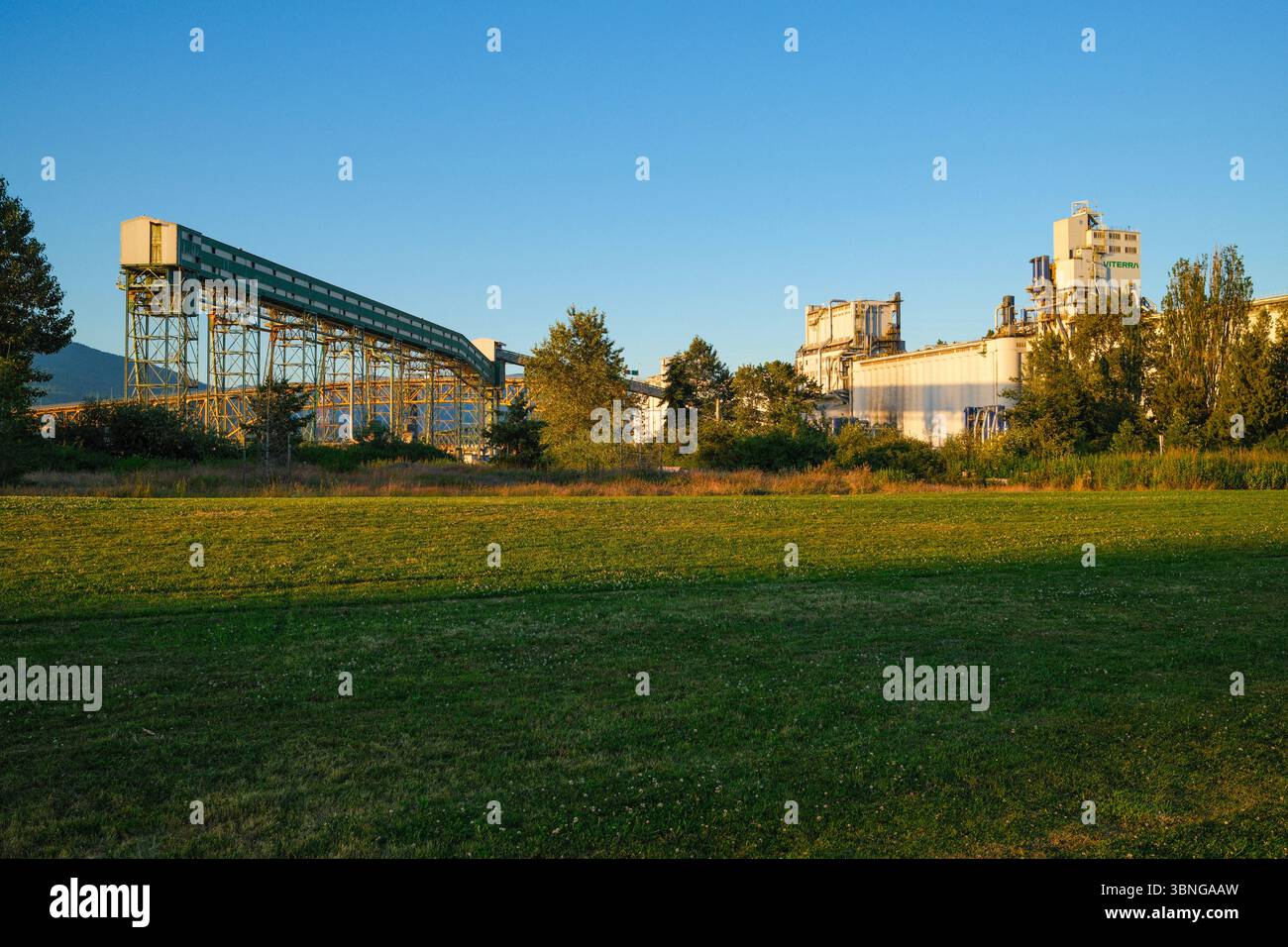 L'elevatore del grano al Viterra Cascadia Terminal visto dal New Brighton Park di Vancouver, British Columbia. Il secondo Narrows Bridge è dietro. Foto Stock