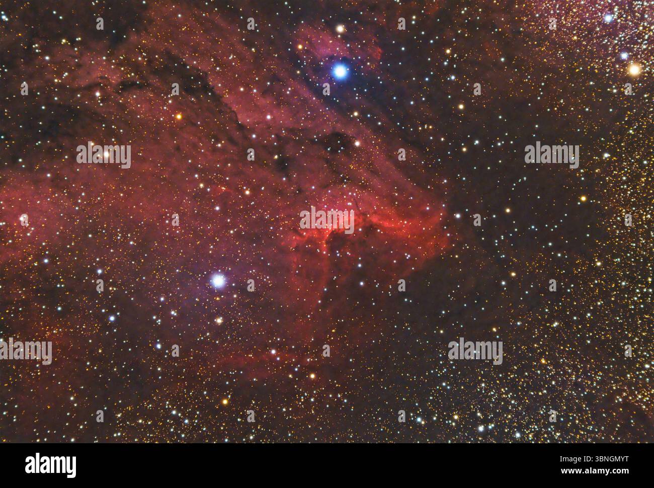 La Nebulosa Pelicana (IC 5070) è una regione H II associata alla Nebulosa del Nord America nella costellazione di Cygnus. Mappa stellare sfondi cielo notturno Foto Stock