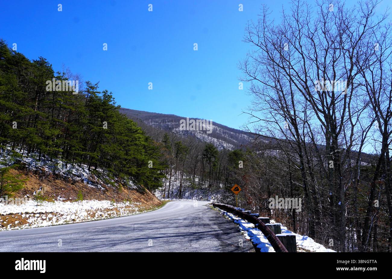 In inverno, una strada tortuosa e innevata conduce attraverso le montagne delle foreste nazionali George Washington e Jefferson, in Virginia. Foto Stock