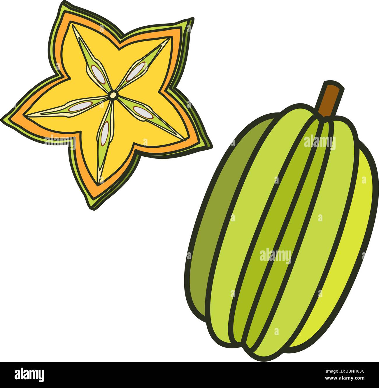 Starfruit in tecnica doodle illustrazione botanica vettoriale Illustrazione Vettoriale