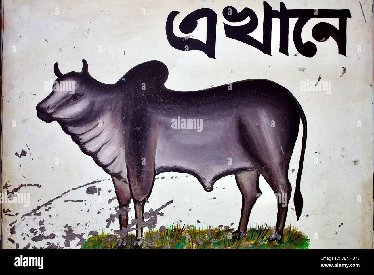 Insegna della macelleria dipinta a mano con una mucca stilizzata e scritta bengalese, Kurigram, divisione Rangpur, Bangladesh. Foto Stock