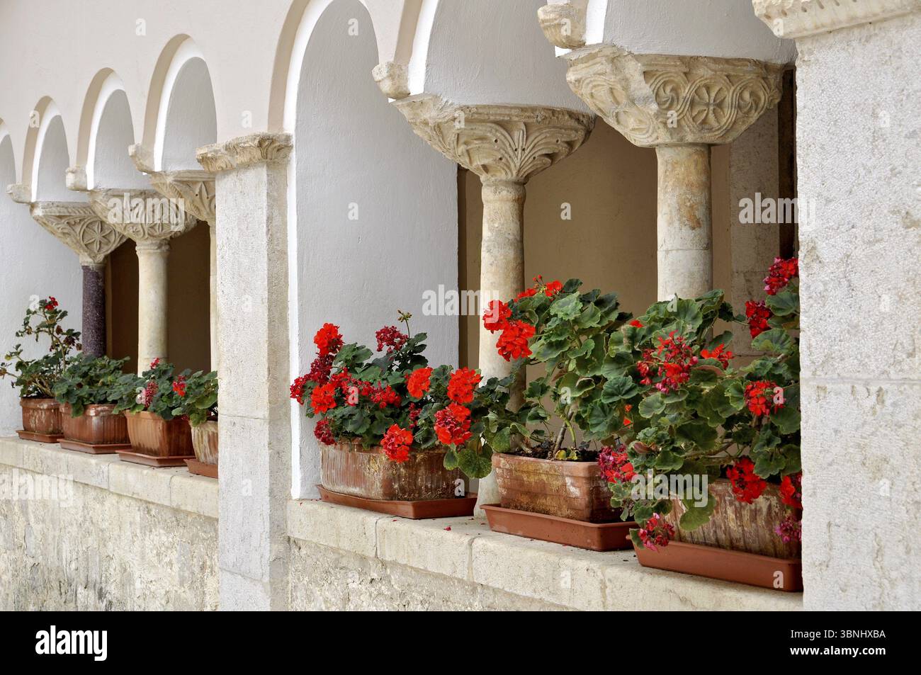Colonne con capitelli, capitelli ornamentali del X e XI secolo, fioriere con gerani (Geranium L.), archi tondi nel clo Foto Stock