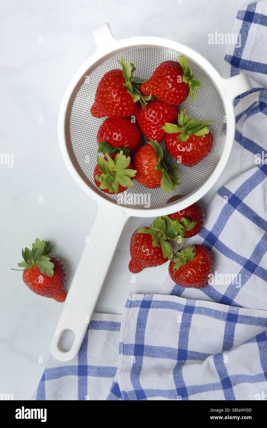 Fragole nel colino, Fragaria Foto Stock