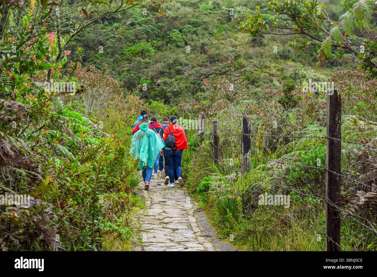 I visitatori camminano lungo un sentiero panoramico a Guatavita, Colombia, circondato da una vegetazione lussureggiante e da un paesaggio montano, perfetto per un turismo ecologico. Foto Stock