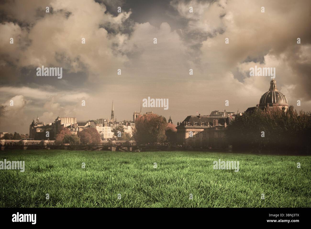 Il design piatto mostra un grande edificio classico a cupola che si innalza su un campo di erba verde e un cielo nuvoloso Foto Stock