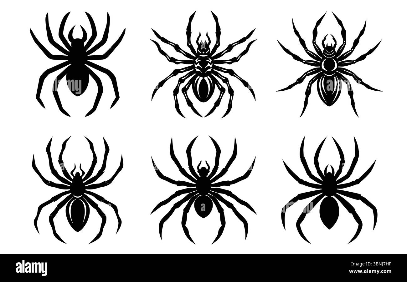sagome a ragno stilizzate; bianco e nero; grafica vettoriale; aracnide; insetto; inquietante; Halloween; design tatuaggio; gotico; scuro; inquietante Illustrazione Vettoriale