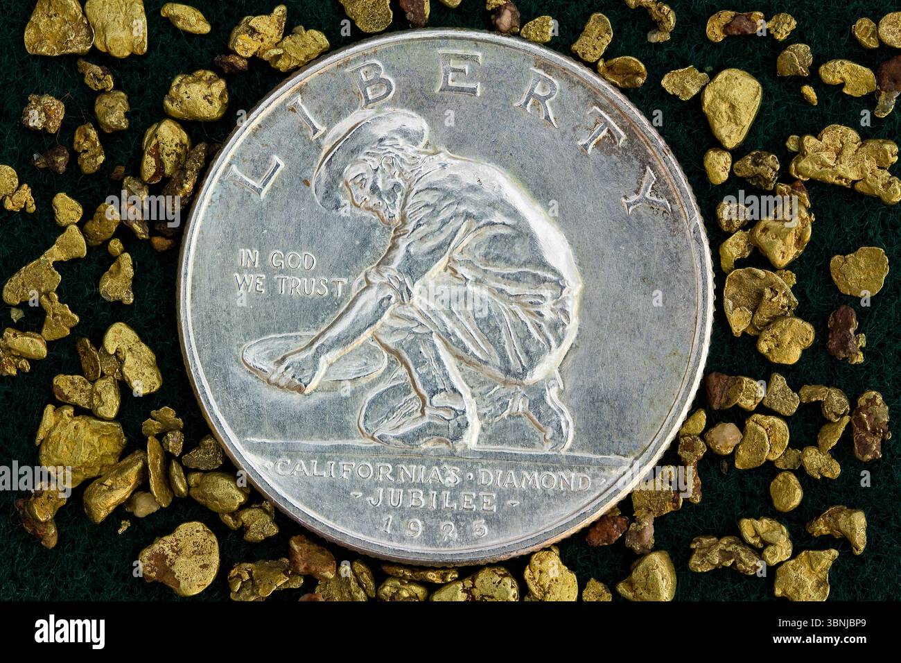 1925 dollari California Diamond Jubilee Silver Half Dollar. Moneta commemorativa della zecca di San Francisco, USA. Circondato da Nuggets d'oro naturali della California. Foto Stock