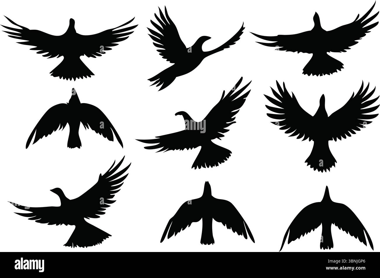 Nine Flying Bird silhouette Vector, Black Flock Clipart, Isolated Animal Nature Wildlife Illustration, Spread Wings, Simple Outline, Group Designs Illustrazione Vettoriale
