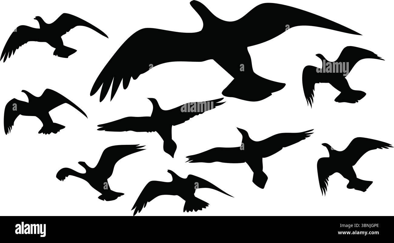 Nine Flying Bird silhouette Vector, Black Flock Clipart, Isolated Animal Nature Wildlife Illustration, Spread Wings, Simple Outline, Group Designs Illustrazione Vettoriale