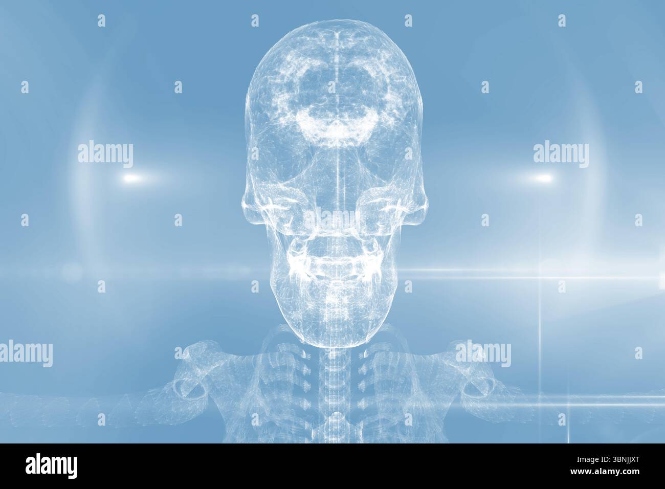 Cranio umano in luci blu Foto Stock