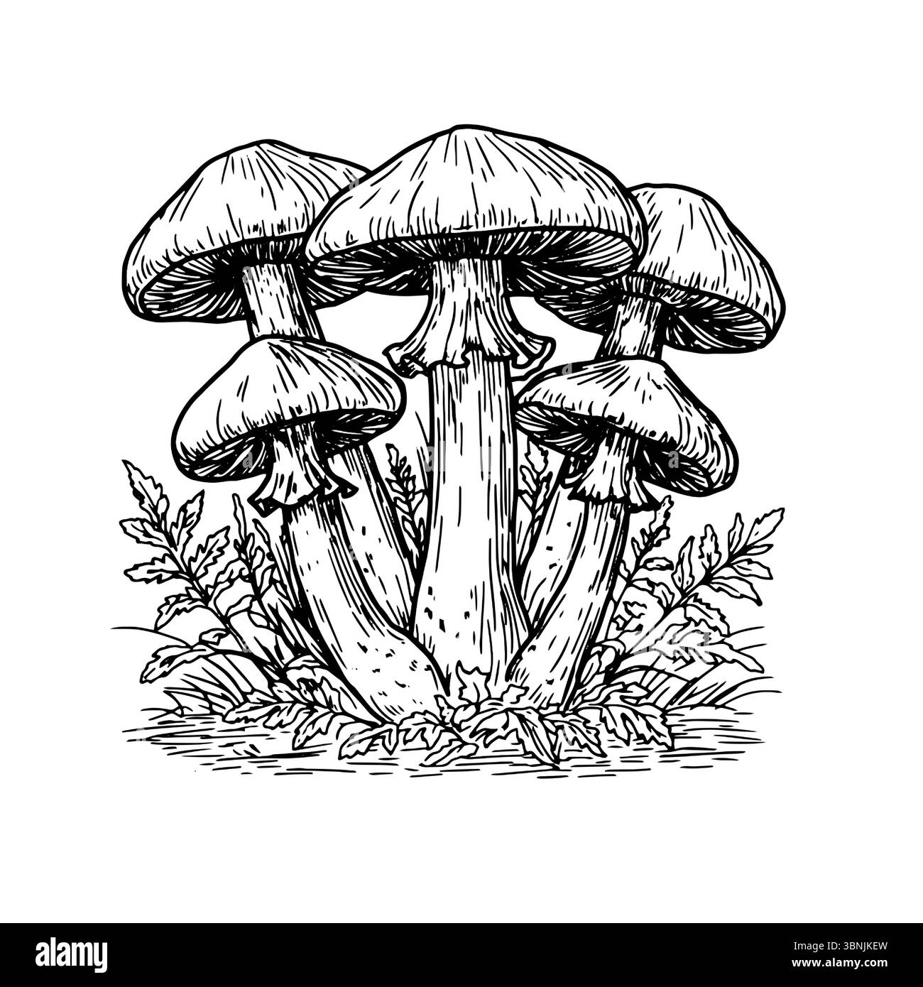 Funghi nell'erba in mezzo alla foresta. Bozze, uno schizzo in inchiostro bianco e nero. Illustrazione vettoriale. Decorazioni autunnali, isolate su sfondo bianco. Illustrazione Vettoriale