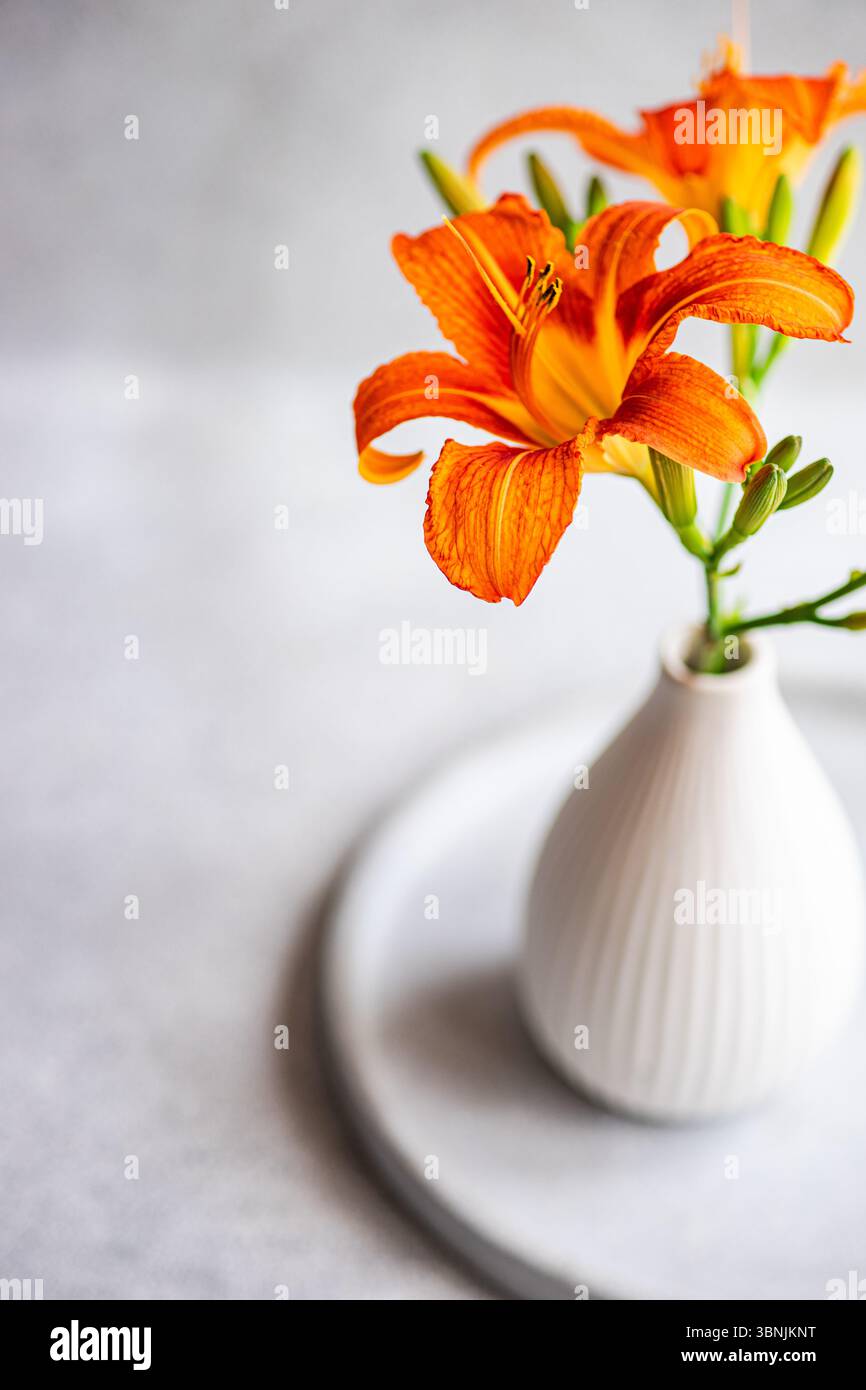 Dall'alto, un vivace fiore di giglio di tigre arancione si trova in un vaso bianco su un semplice vassoio rotondo, creando un contrasto sorprendente con un dorso dalla texture delicata Foto Stock