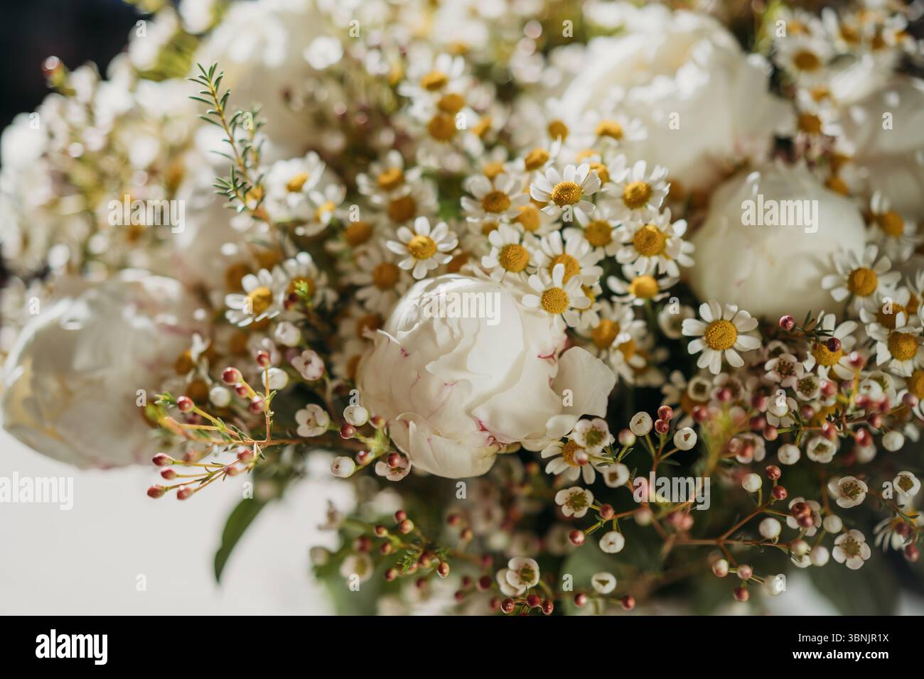Uno splendido bouquet con peonie e margherite splendidamente esposte in luce soffusa. Perfetta per l'arredamento di nozze, questa sistemazione trasuda bellezza naturale Foto Stock
