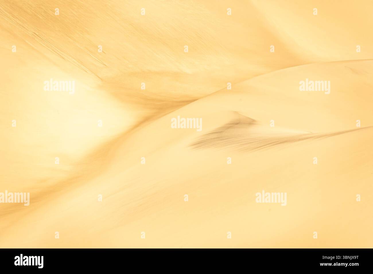 Accattivante paesaggio di dune di sabbia dorata che mostrano texture e motivi intricati. L'immagine cattura la serena bellezza del deserto scolpito dal vento Foto Stock