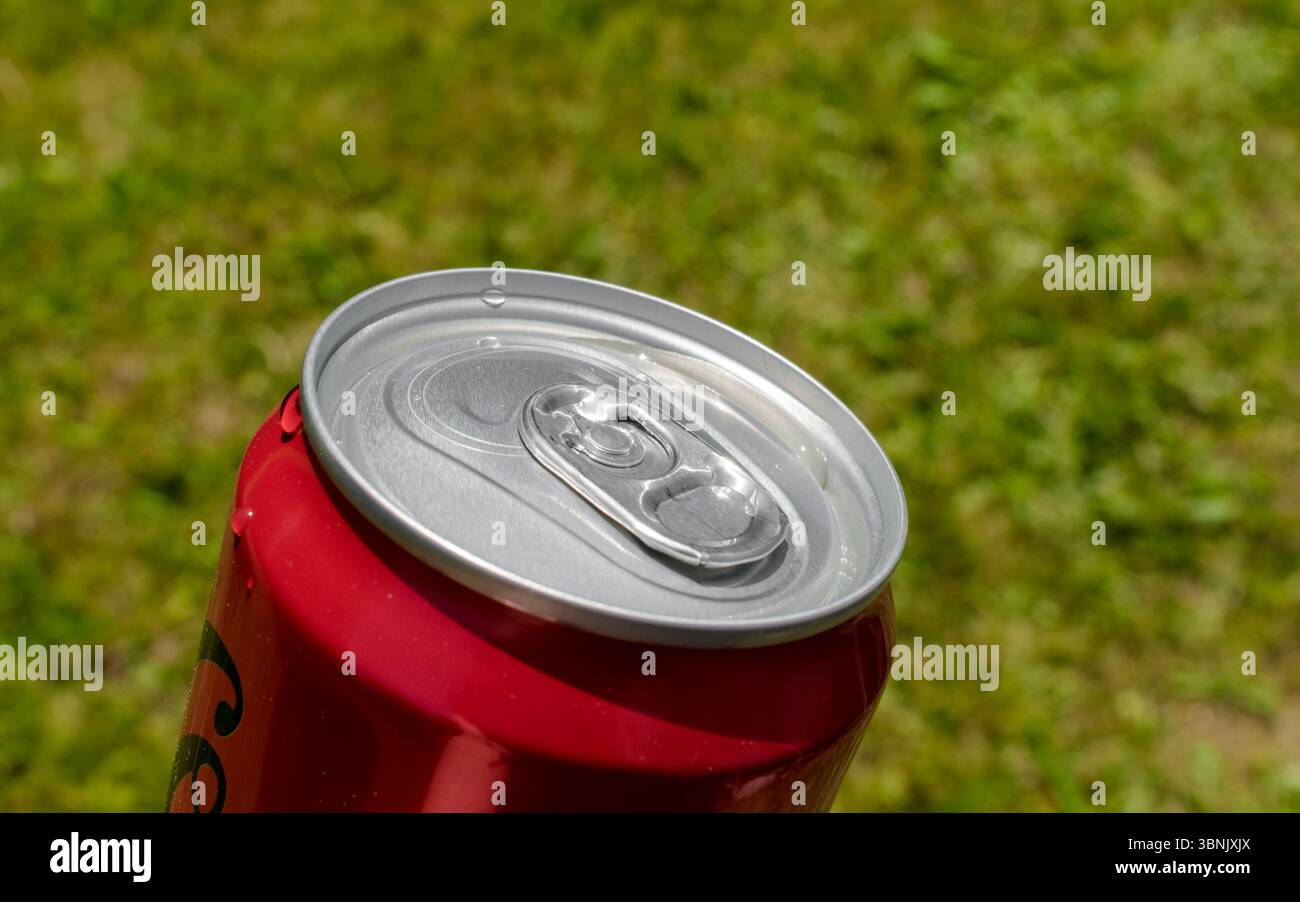 La vista isolata della Coca-Cola può essere impreziosita da uno sfondo erboso neutro; la Coca-Cola può illuminarsi al sole estivo. Foto Stock