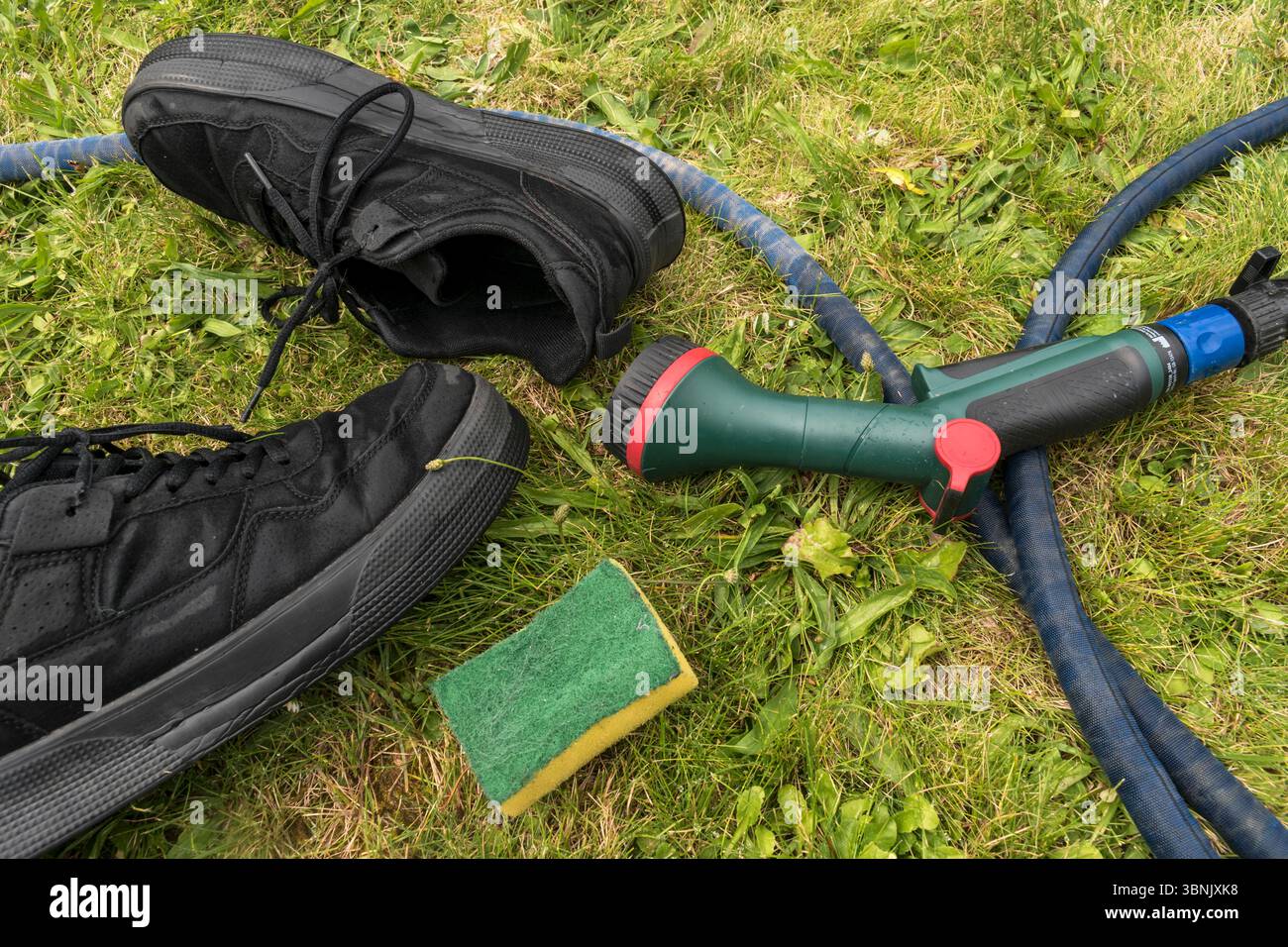 Un paio di sneakers accanto al tubo e alla spugna per la pulizia; scarpe nere lavate su un prato erboso Foto Stock