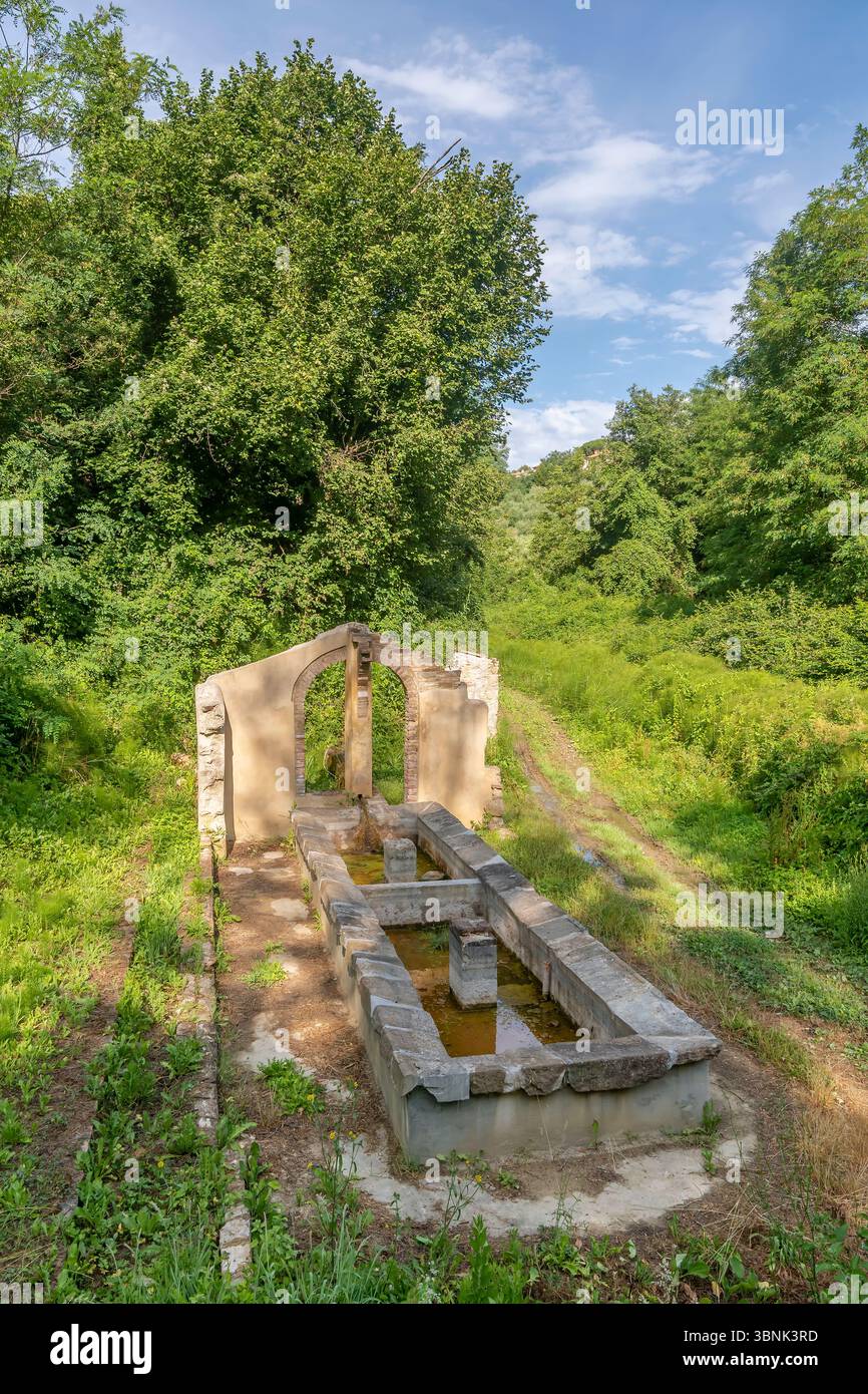 La fontana castagni del XIX secolo, vecchie lavatoi dove le casalinghe lavavano cestini di vestiti, Fauglia, Pisa, Italia Foto Stock