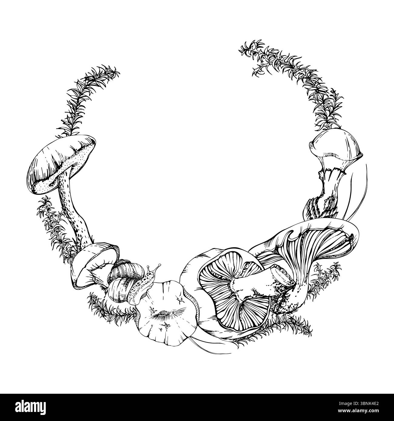 Bolete cep russula suillus funghi, lumaca, gambi di coda di cavallo, foglie ramoscelli aghi di pino. telaio per ghirlanda di funghi disegnato a mano con inchiostro vettoriale. Foresta autunnale Illustrazione Vettoriale