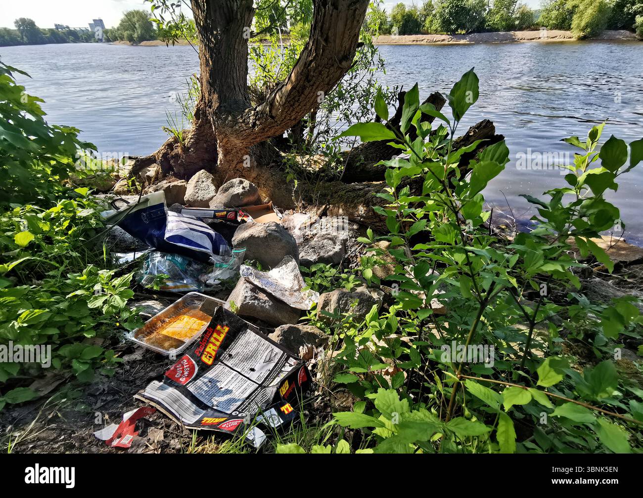 Rifiuti nel paesaggio, inquinamento, inquinamento ambientale, lungo tempo nell'ambiente, difficile da degradare Foto Stock