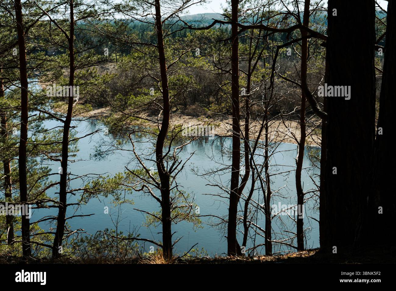 Un fiume azzurro incorniciato da sagome d'albero sotto la luce soffusa del giorno. Un paesaggio naturale panoramico, perfetto per temi di viaggio, natura e pace interiore. Foto Stock