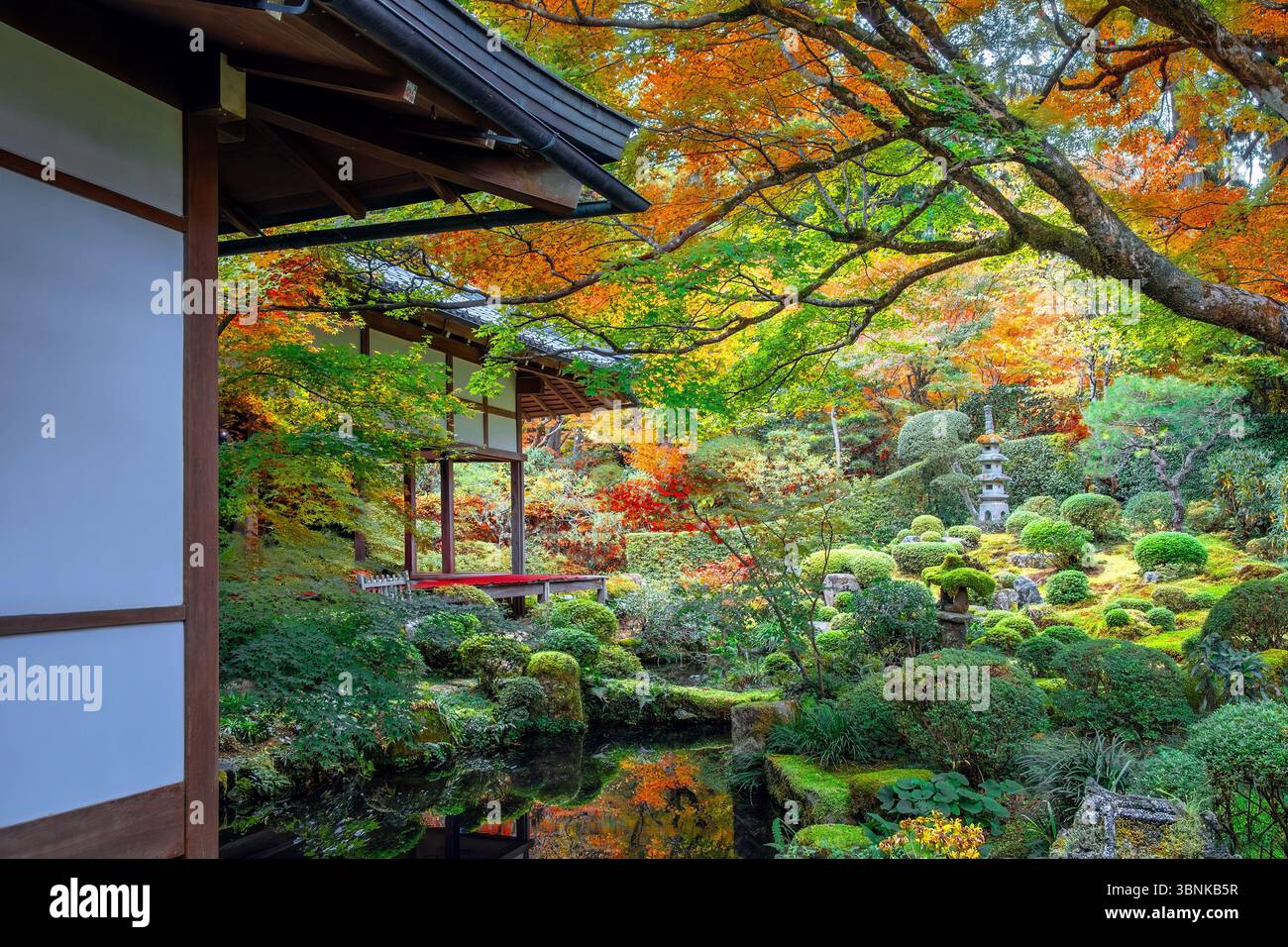 Kyoto, Giappone - 17 novembre 2024: Tempio di Sanzen-in con un colorato giardino autunnale a Ohara, a nord di Kyoto Foto Stock