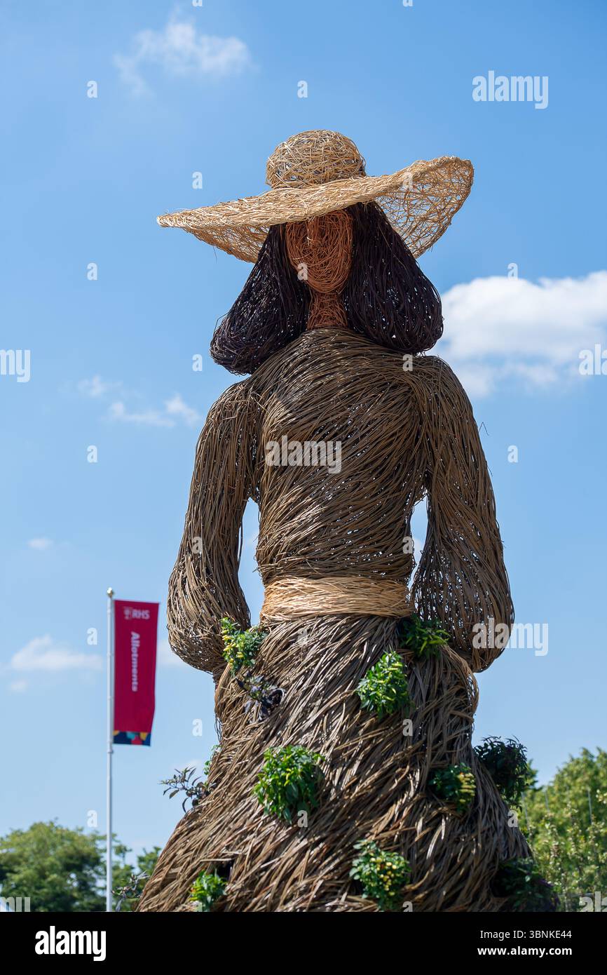 East Molesey, Surrey, Regno Unito. 30 giugno 2025. Una figura di Jane Austen in vimini al RHS Hampton Court Palace Garden Festival 2025 realizzata dagli artisti ambientali Rebecca e Mark Ford che celebrano i 60 anni di moda a Kingston. Gli artisti contemporanei Mark Antony Haden Ford e Rebecca Ford di due cerchi Design lavorano con materiali naturali. Lavorando nel loro studio a Slindon, all'interno del South Downs National Park, sia per il settore pubblico che per quello privato. Entrambi hanno un forte interesse per l'archeologia, la geografia e le meraviglie del mondo naturale, attingendo alle tradizioni e alle tecniche dell'artigianato del salice Foto Stock