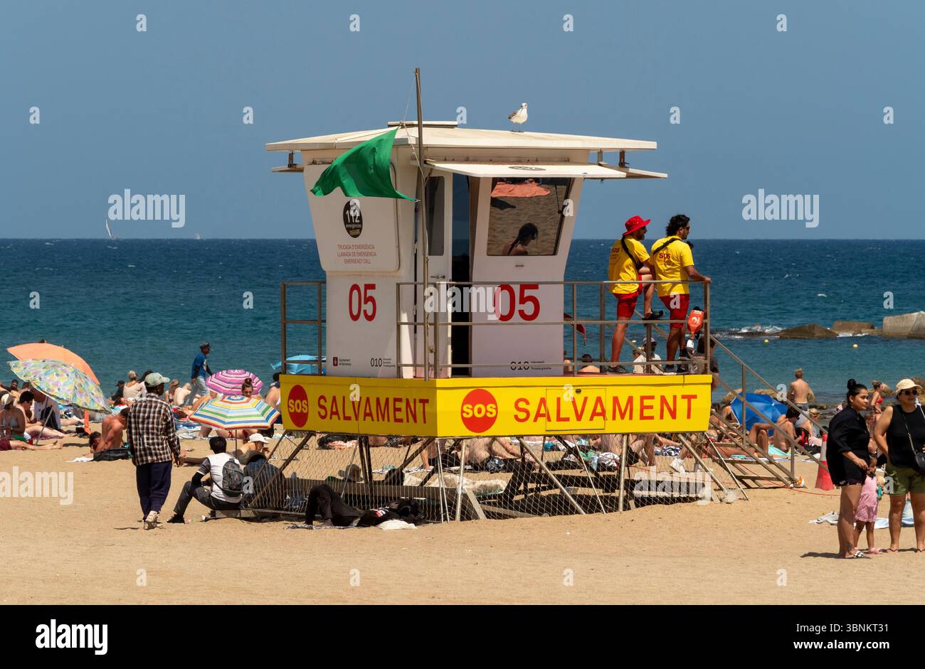 I bagnini monitorano i bagnanti da una torre di salvataggio in una trafficata spiaggia di Barcellona, con una bandiera verde che indica le condizioni di nuoto sicure. Spagna. Foto Stock