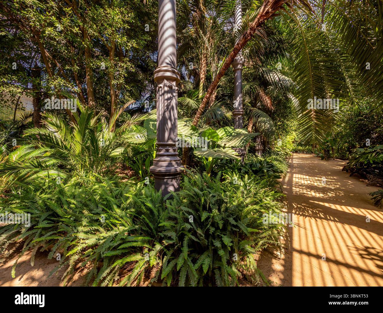 La luce del sole scorre attraverso il tetto a lastre dell'Umbracle nel Parc de la Ciutadella di Barcellona. Barcellona, Spagna. Foto Stock