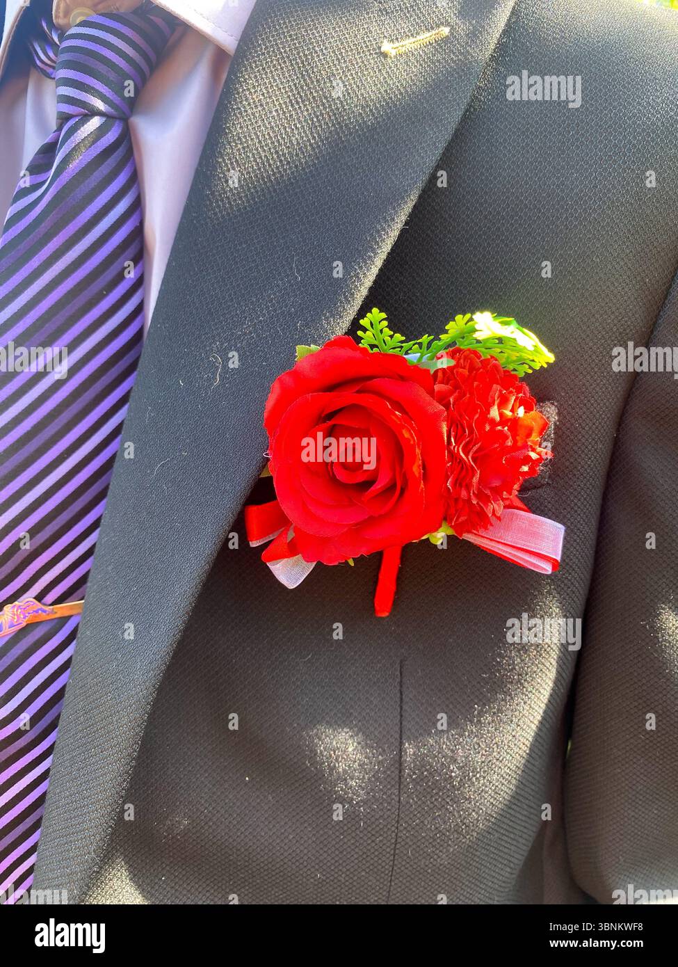 Vista ravvicinata di un asola rosa rossa indossata su un elegante giubbotto grigio con cravatta viola. - Immagine stock catturata con smartphone