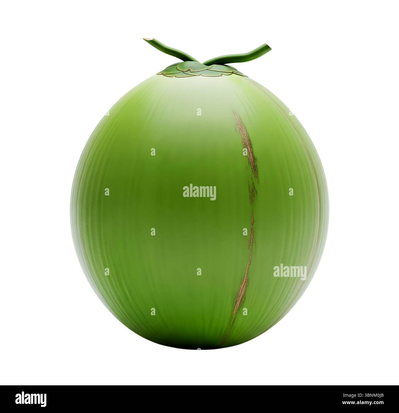 Rendering 3D minimalista del cocco in un rendering morbido e uniforme Foto Stock