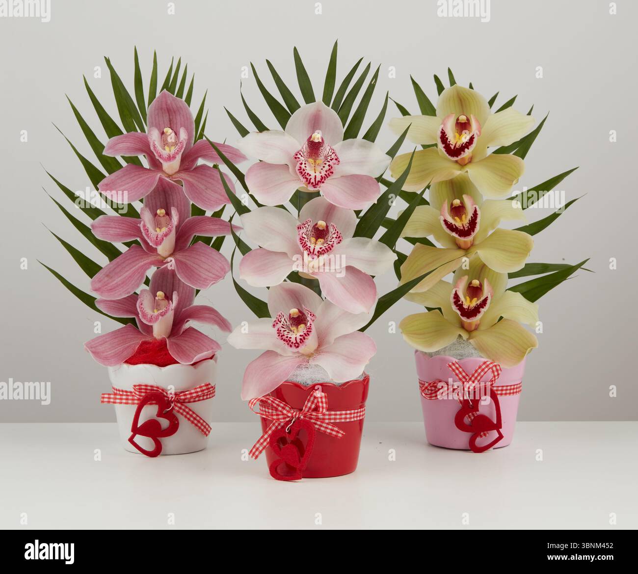 PIANTE FINTE ORCHIDEA Farfalla Artificiale Bonsai in vaso Decorazione