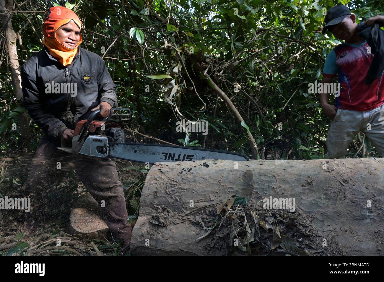 LAO PDR, provincia di Salawan, deforestazione, taglio di alberi con motosega tedesca STIHL con doppia lama cinese Sitnl / LAOS, Provinz Salavan, Entwaldung, fällen von Bäumen Foto Stock