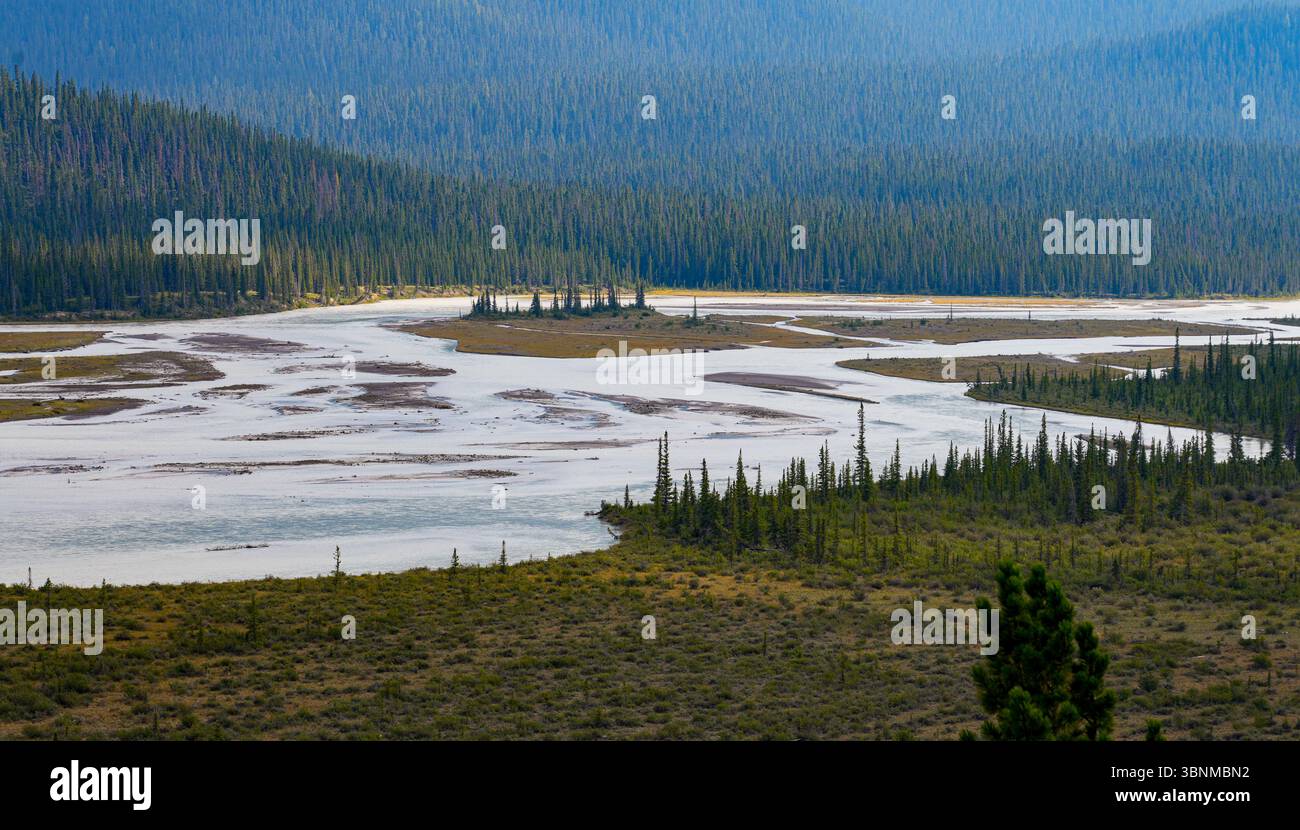 Confluenza dei fiumi Saskatchewan, Howse e Mistaya vista dal punto panoramico del passo di Howse presso l'attraversamento del fiume Saskatchewan, il Parco Nazionale di Banff, Alabama Foto Stock