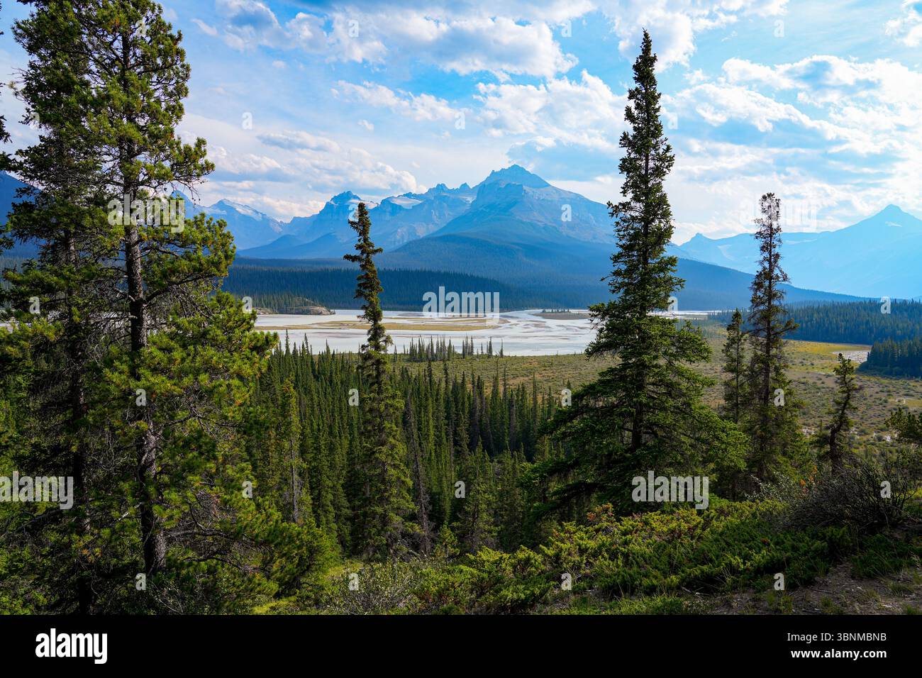 Confluenza dei fiumi Saskatchewan, Howse e Mistaya vista dal punto panoramico del passo di Howse presso l'attraversamento del fiume Saskatchewan, il Parco Nazionale di Banff, Alabama Foto Stock