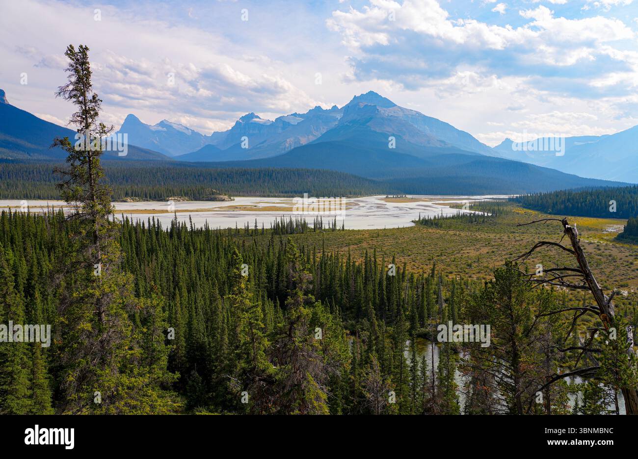 Confluenza dei fiumi Saskatchewan, Howse e Mistaya vista dal punto panoramico del passo di Howse presso l'attraversamento del fiume Saskatchewan, il Parco Nazionale di Banff, Alabama Foto Stock
