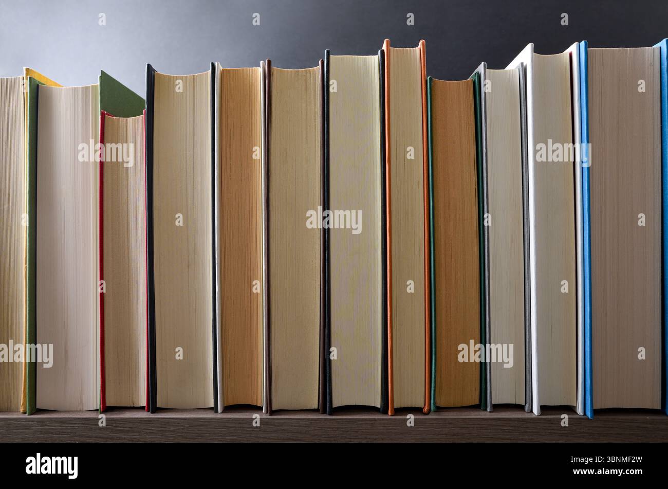 Fila di libri che mostrano il bordo anteriore su un ripiano di legno e sfondo scuro isolato. Vista frontale. Foto Stock