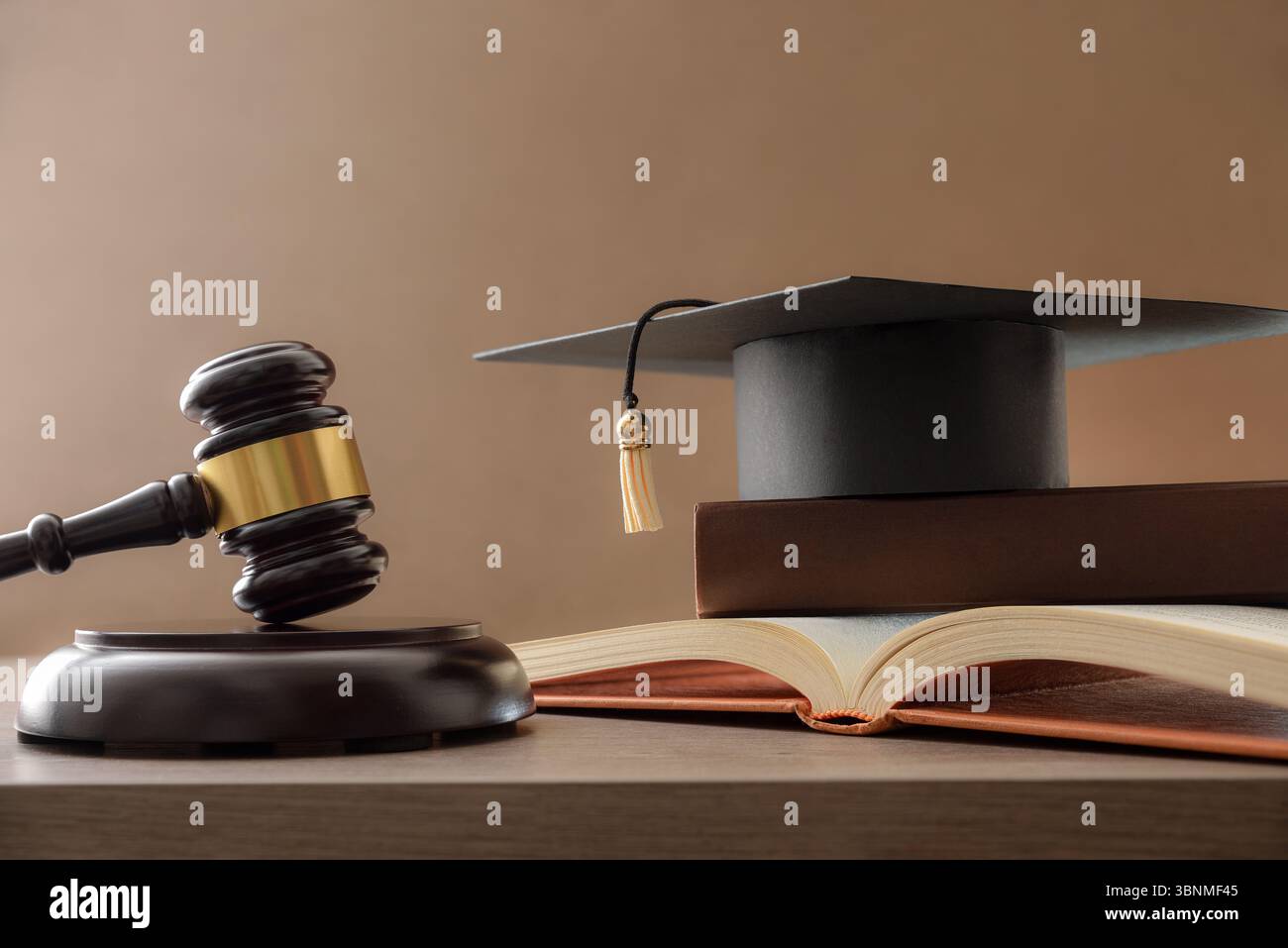 Concetto di giudizio per problemi educativi con il martelletto del giudice su un tavolo di legno con una falegnameria su una pila di libri e sfondo marrone isolato. Vista frontale. Foto Stock
