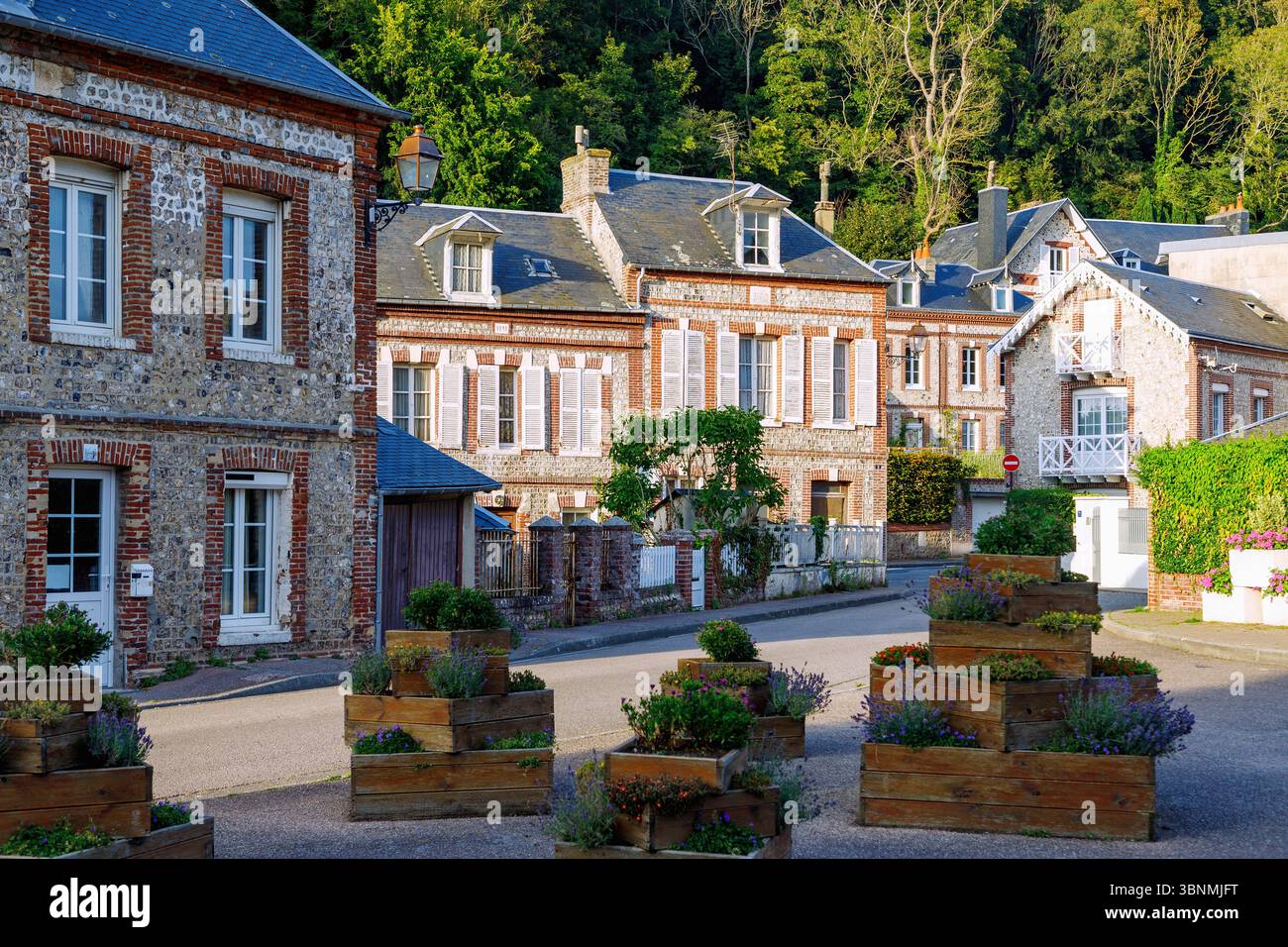 Case in stile normanno vicino alla chiesa di Eglise Saint-Martin in Rue tranquille Legros alla luce della sera a Yport, sulla Costa d'alabastro (Cote d'Albätre), nel dipartimento Senna-Marittima nella regione francese della Normandia Foto Stock