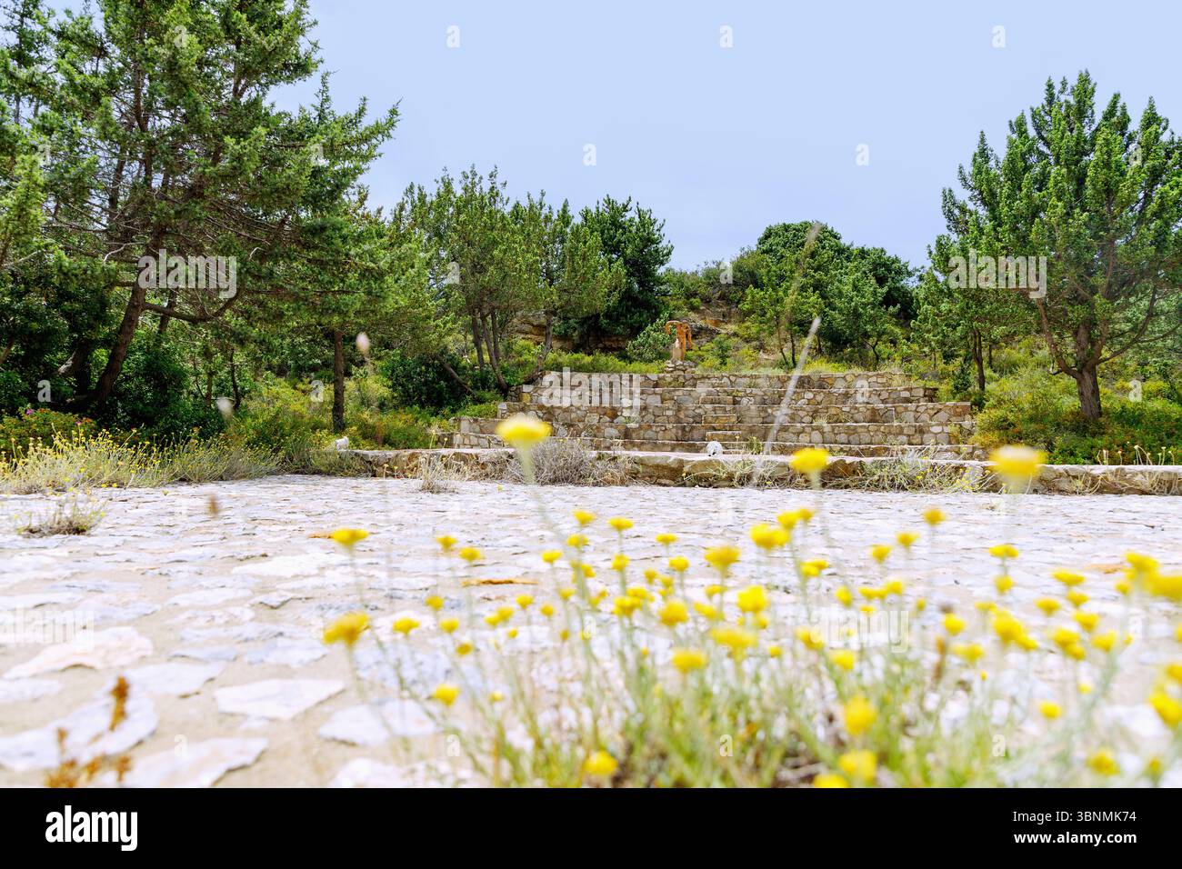 Anfiteatro nel Giardino degli Ippocrati vicino a Mastichari sull'isola di Kos in Grecia Foto Stock