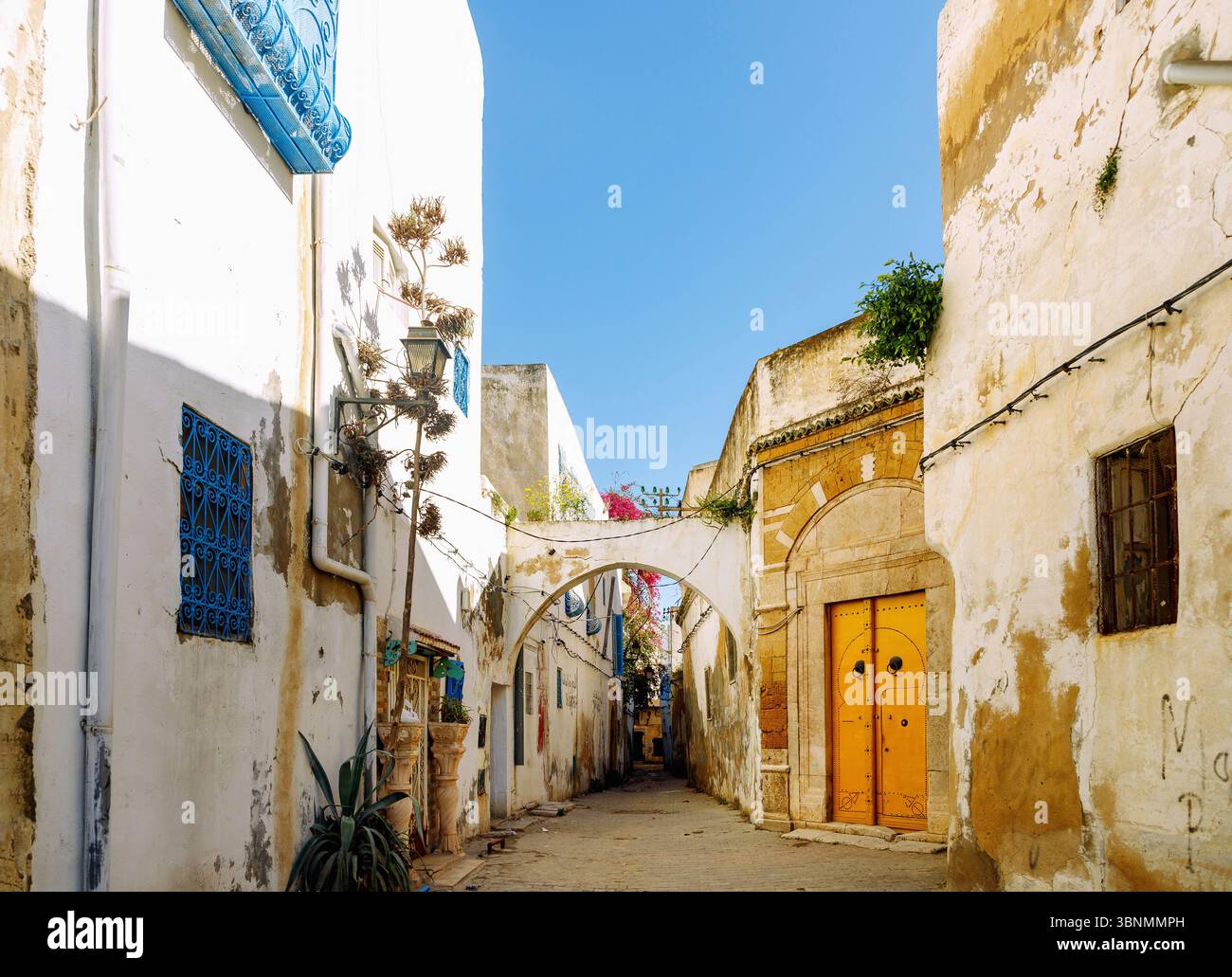 Vicolo con griglie colorate e portale in legno nella medina di Tunisi, Tunisia Foto Stock