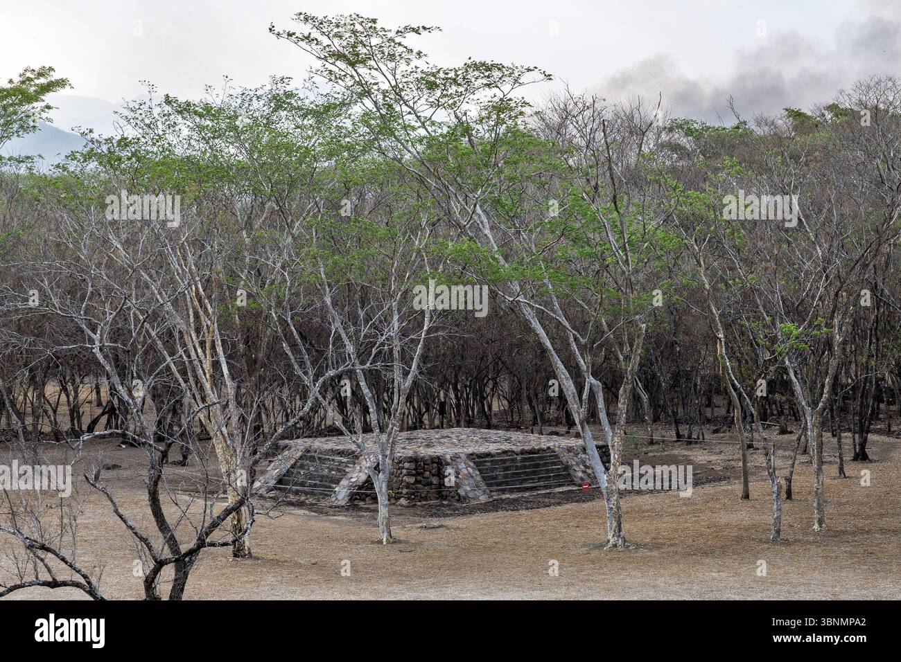 Piccolo tempio, sito archeologico di Cihuatan, El Salvador Foto Stock