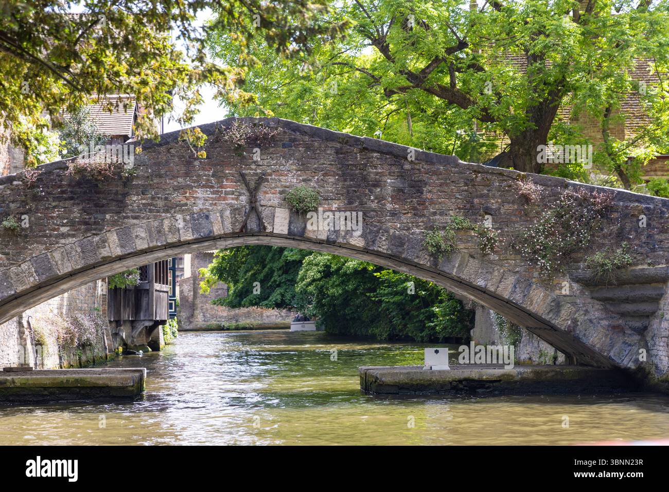Belgio, Bruges, città vecchia, canale, via d'acqua Foto Stock