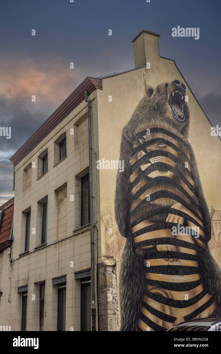 Belgio, Gand, città vecchia, facciata della casa, dipinto, orso, leone Foto Stock
