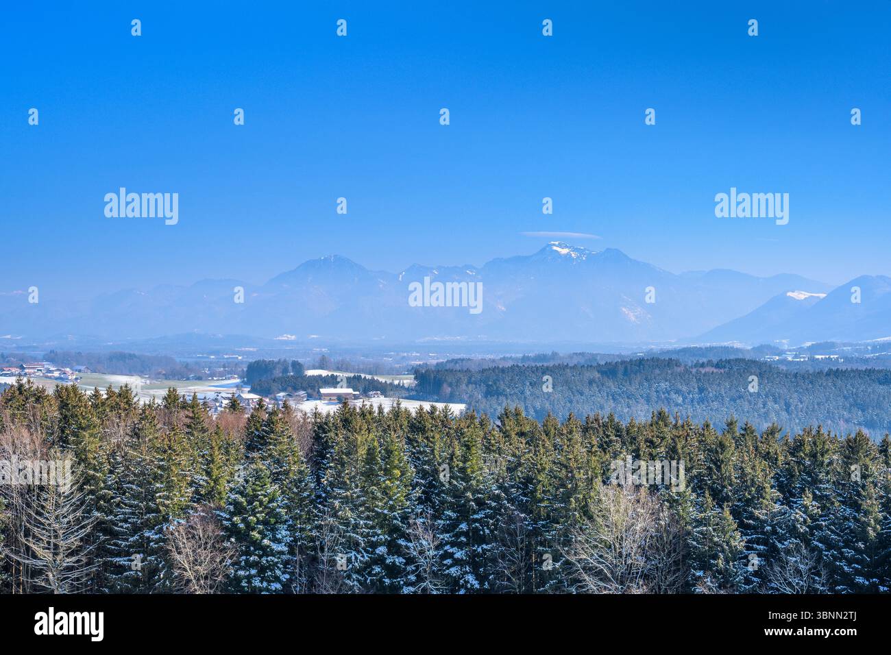 Germania, Baviera, Chiemgau, Rimsting, distretto Hitzing, Ratzinger Höhe, vista dalla torre di osservazione verso le Alpi Chiemgau Foto Stock