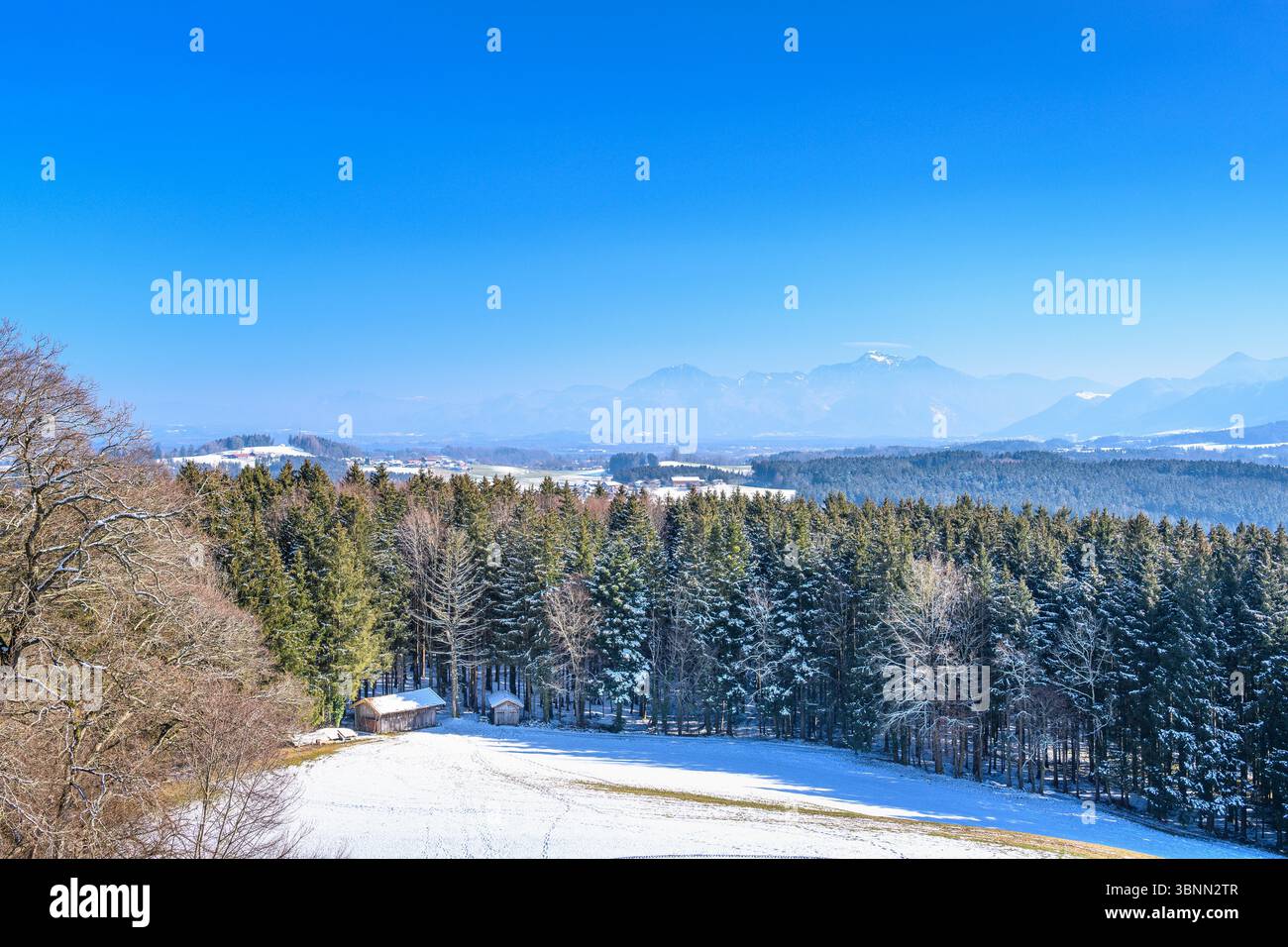 Germania, Baviera, Chiemgau, Rimsting, distretto Hitzing, Ratzinger Höhe, vista dalla torre di osservazione verso le Alpi Chiemgau Foto Stock