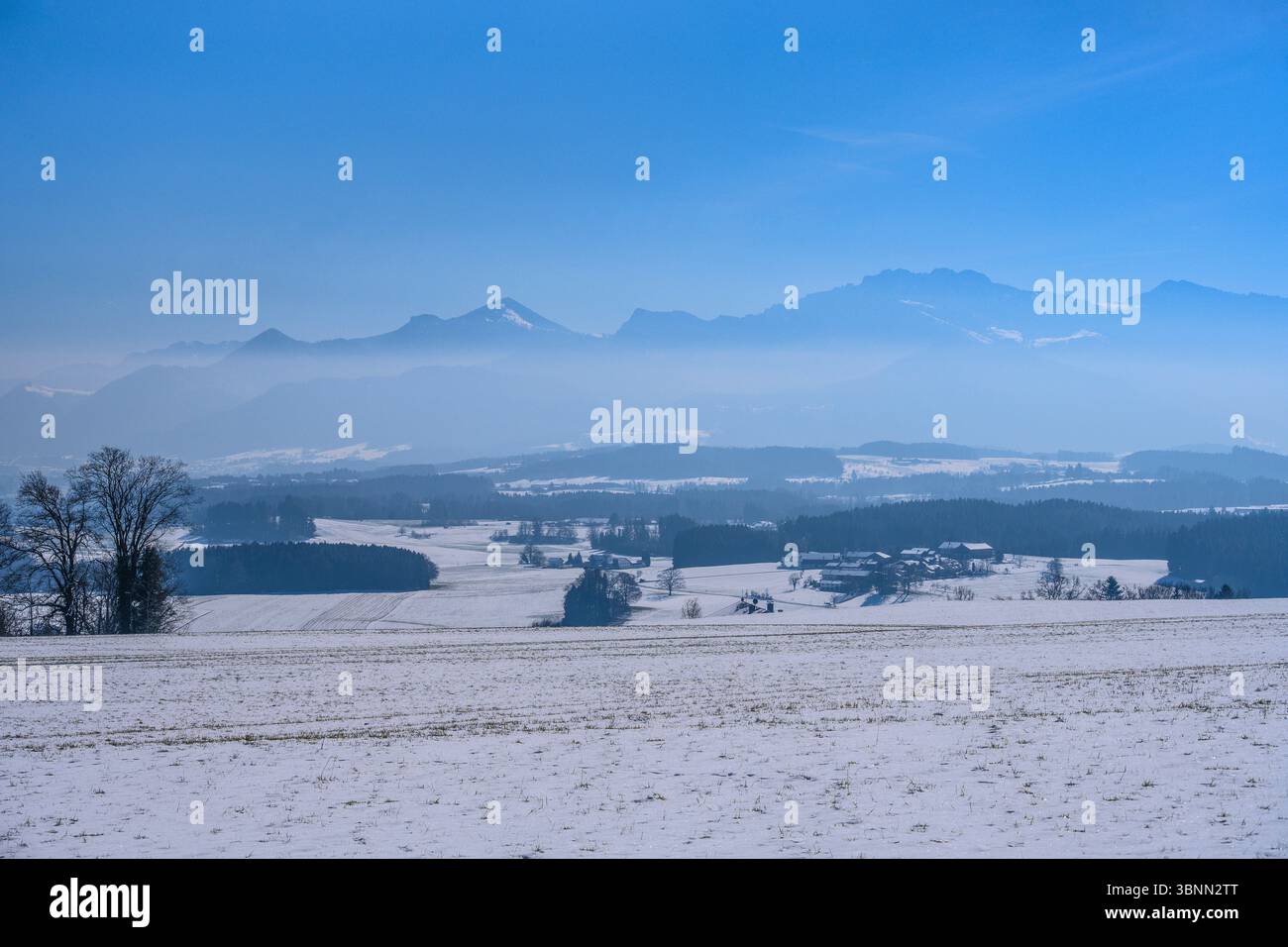 Germania, Baviera, Chiemgau, Rimsting, distretto di Dirnsberg, Ratzinger Höhe, vista verso le Alpi Chiemgau Foto Stock